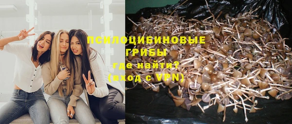 экстази Алексин