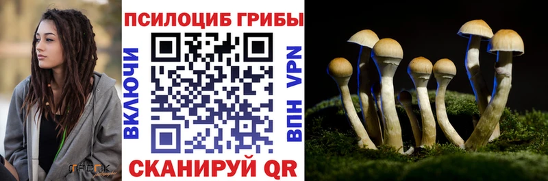Псилоцибиновые грибы прущие грибы маркетплейс состав Искитим где найти
