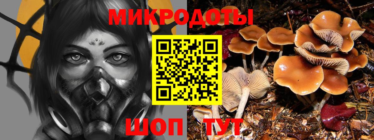 Галлюциногенные грибы Magic Shrooms Искитим