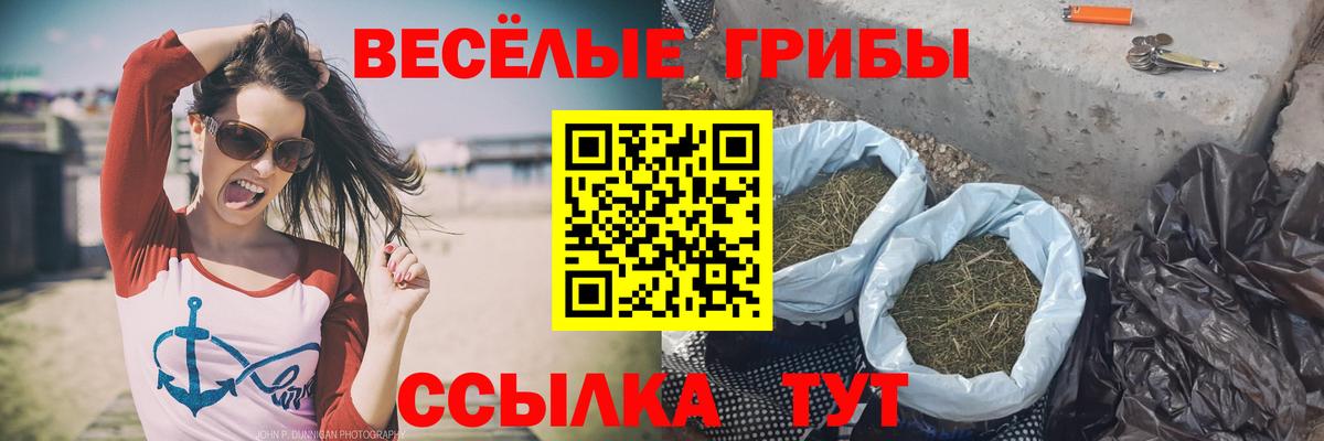 Псилоцибиновые грибы MAGIC MUSHROOMS  купить закладку  Вход с VPN  Искитим  Псилоцибиновые грибы мицелий 